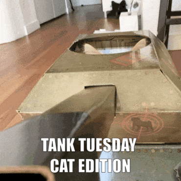 Hilarious Cats (34 pics)