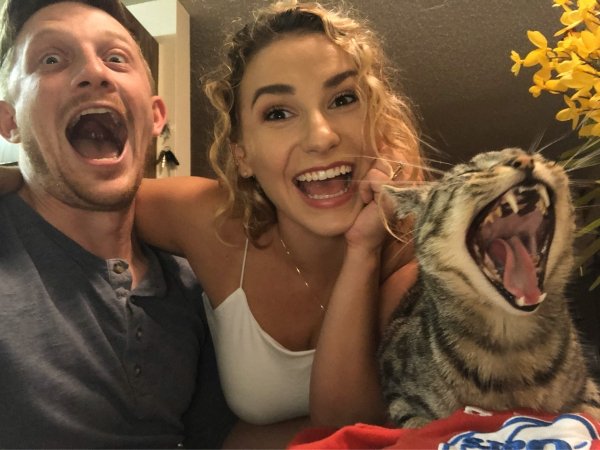 Hilarious Cats (34 pics)