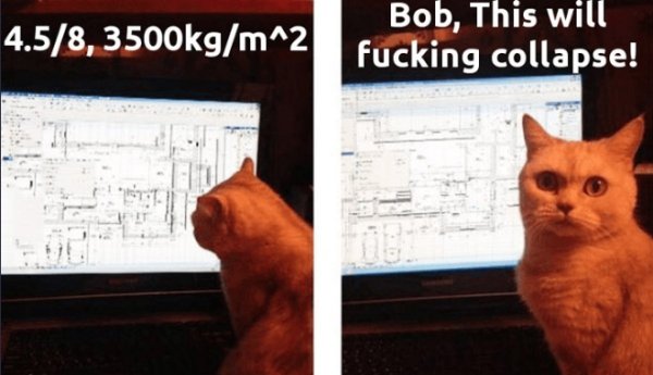 Hilarious Cats (34 pics)