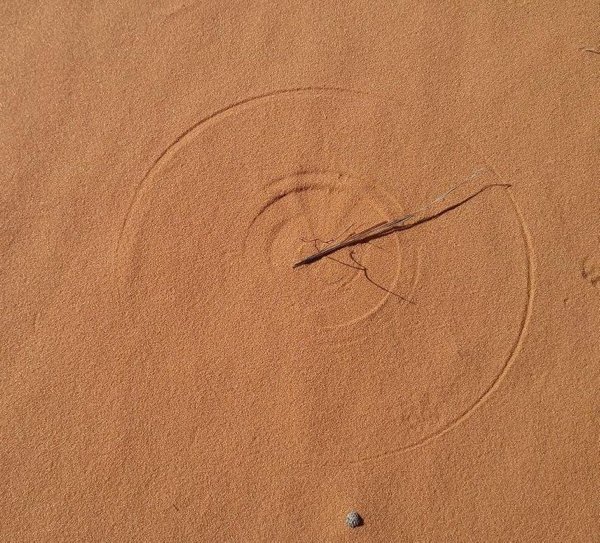 Perfection Is Possible (19 pics) Perfection Is Possible (19 pics)