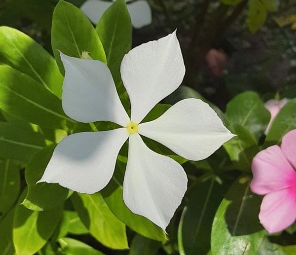 Perfection Is Possible (19 pics) Perfection Is Possible (19 pics)