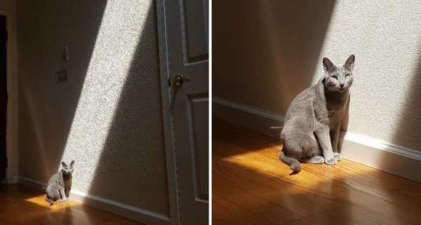 Perfection Is Possible (19 pics) Perfection Is Possible (19 pics)