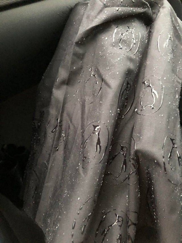 Interesting Findings (17 pics) Interesting Findings (17 pics)