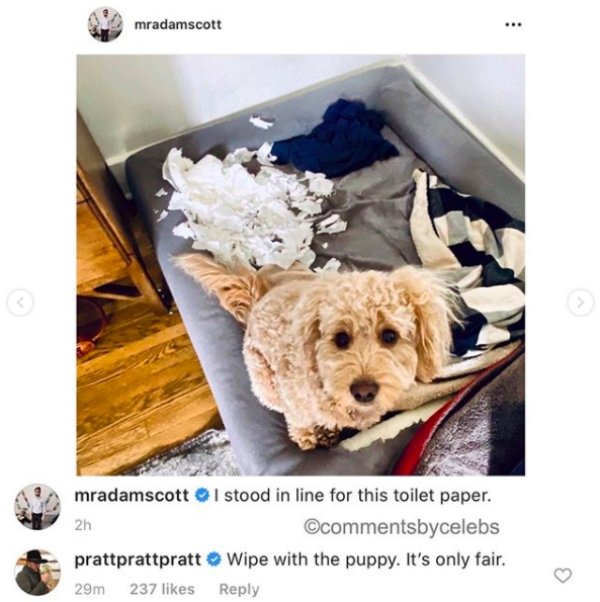 Comments By Celebs (34 pics)