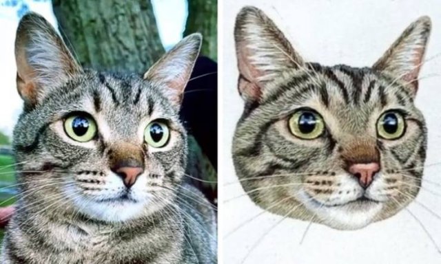 Talented People (40 pics)