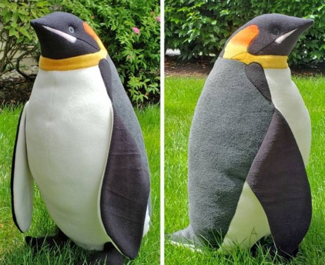 Talented People (40 pics)