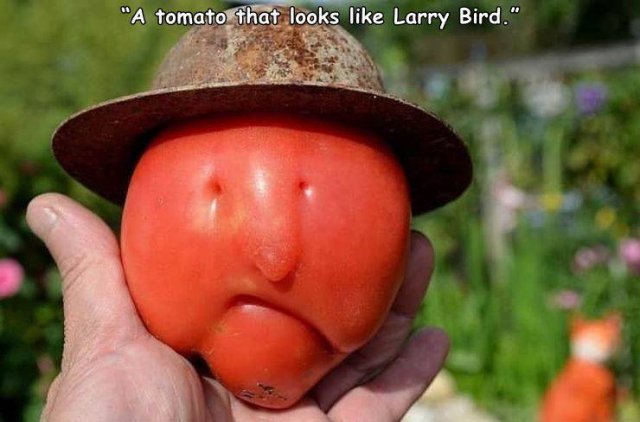 Acid Picdump. Part 1 (96 pics)