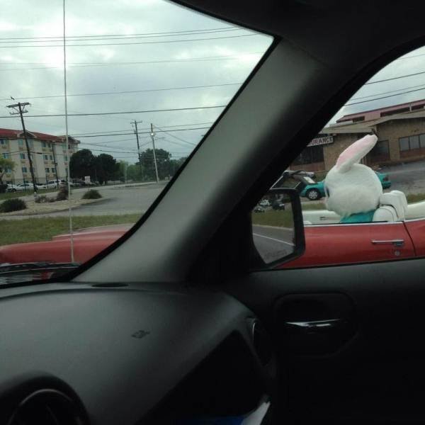 Acid Picdump. Part 1 (96 pics)