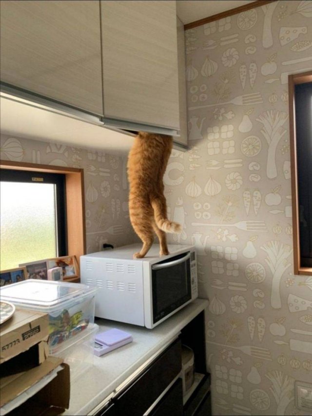 Acid Picdump. Part 1 (96 pics)
