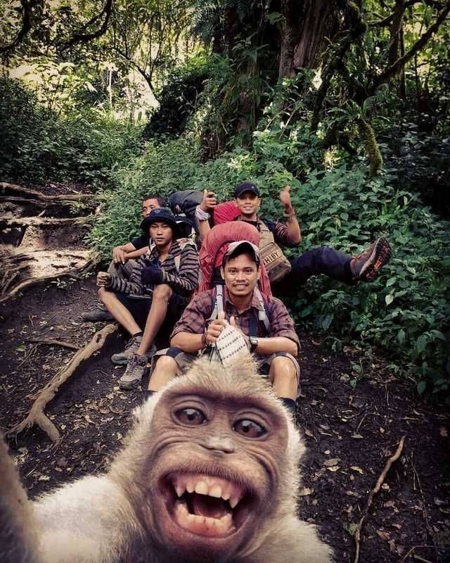 Acid Picdump. Part 1 (96 pics)