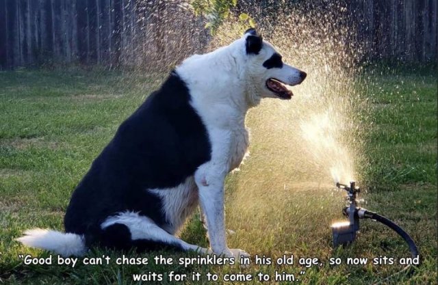 Acid Picdump. Part 1 (96 pics)