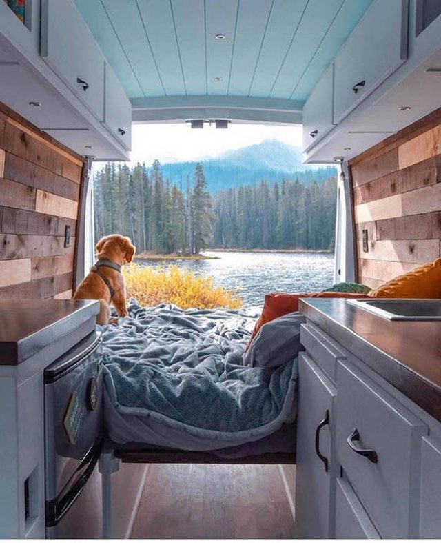 Van Life (25 pics)