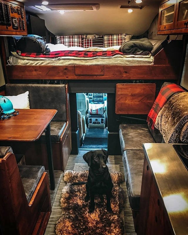 Van Life (25 pics)