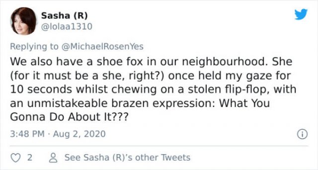 When Fox Became A Shoe Thief (17 pics)