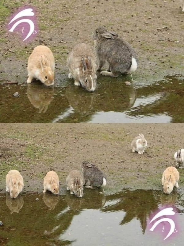 Dirty Humor (33 pics)