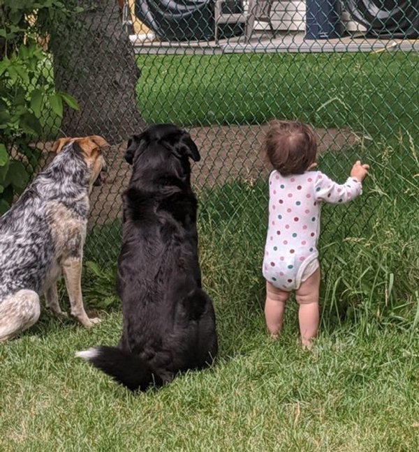 Wholesome Stories (19 pics)