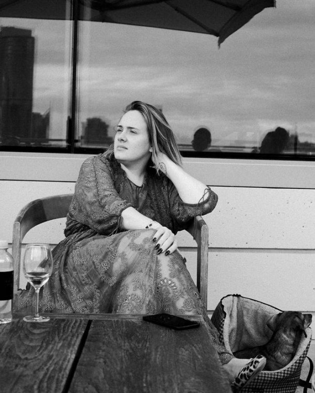 Adele's Amazing Weight Loss (17 pics)
