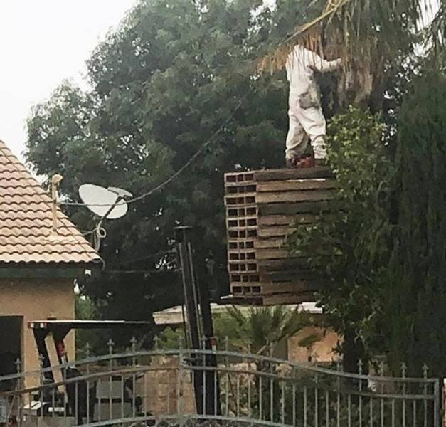 Everything's Possible (17 pics)