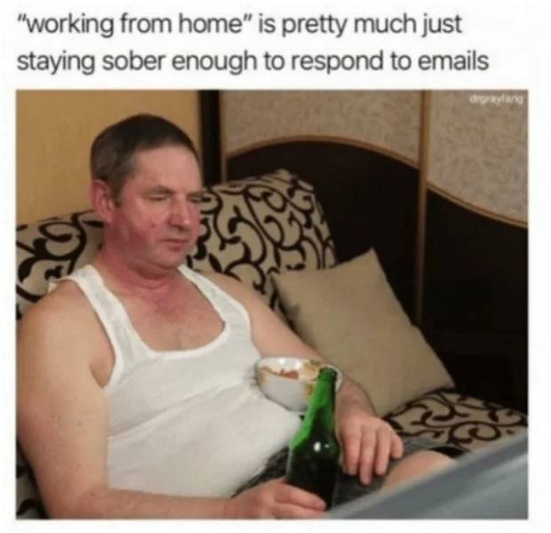 Work From Home Memes (28 pics)