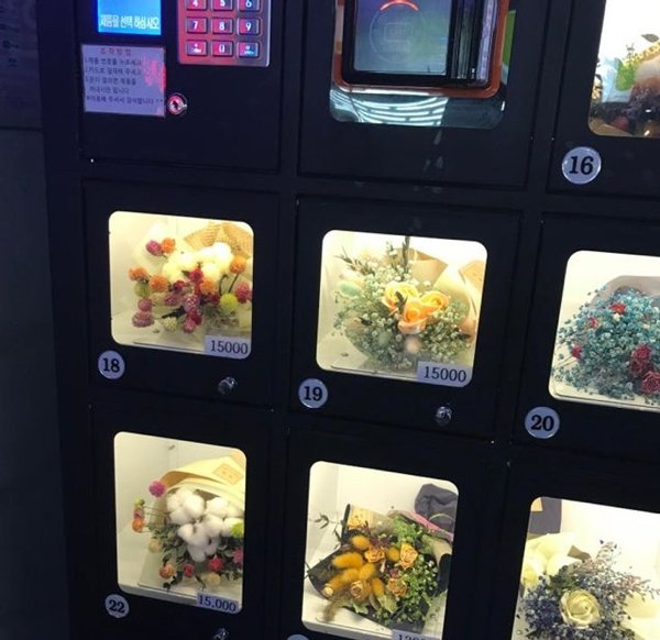 Only In South Korea (19 pics)