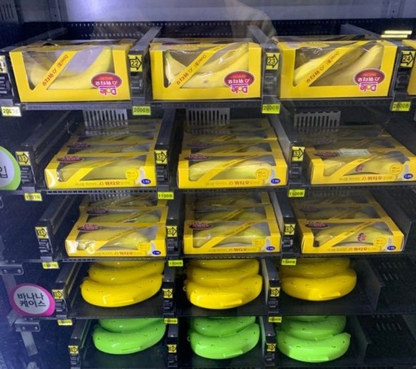 Only In South Korea (19 pics) Only In South Korea (19 pics)