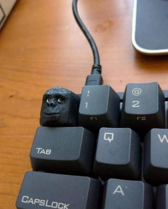 Acid Picdump. Part 1 (95 pics)