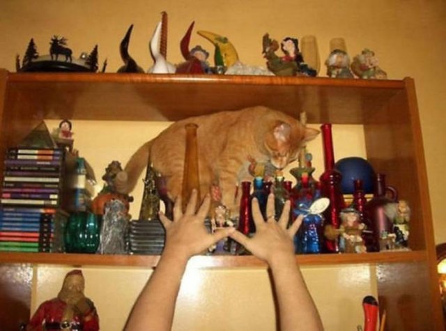 Acid Picdump. Part 1 (95 pics)