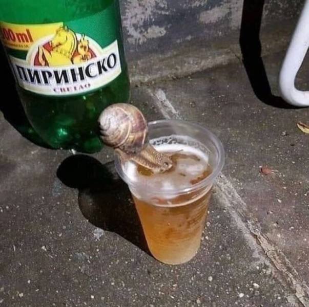 Acid Picdump. Part 1 (95 pics)