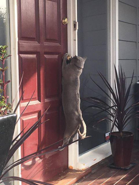 Acid Picdump. Part 2 (93 pics)