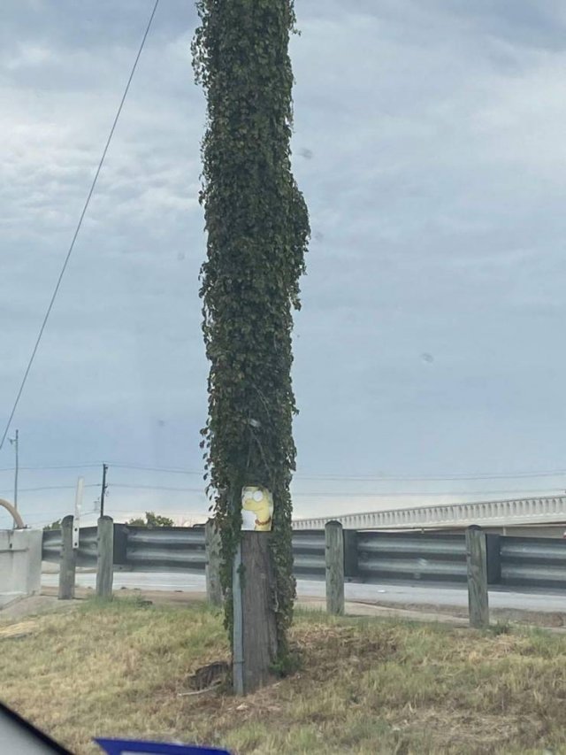 Acid Picdump. Part 1 (95 pics)