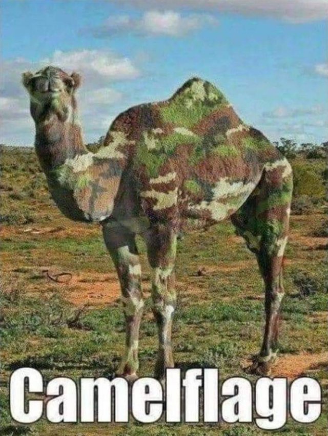 Acid Picdump. Part 2 (93 pics)