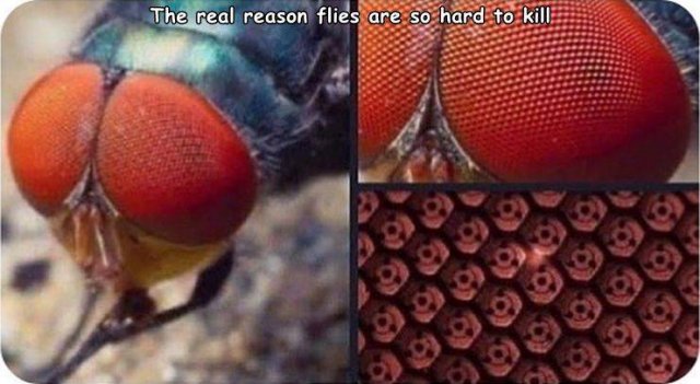 Acid Picdump. Part 2 (93 pics)