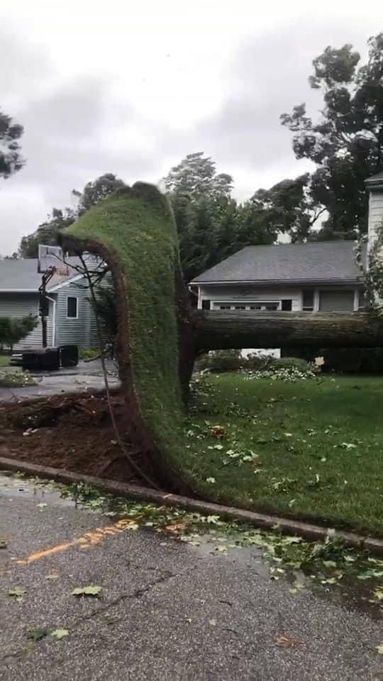 Acid Picdump. Part 1 (95 pics)