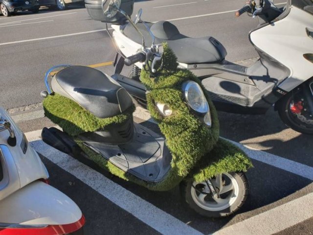 Acid Picdump. Part 1 (95 pics)