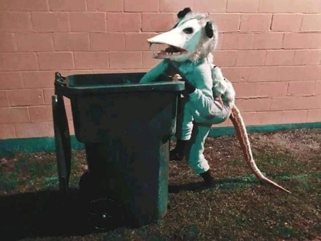 Acid Picdump. Part 1 (95 pics)