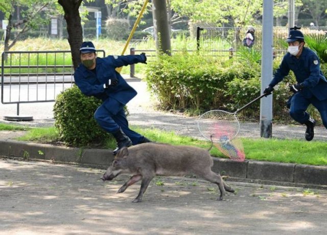 Acid Picdump. Part 1 (95 pics)