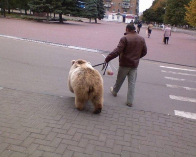 Acid Picdump. Part 2 (93 pics)