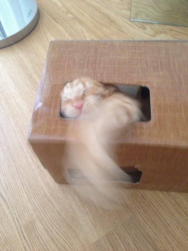 Acid Picdump. Part 1 (95 pics)