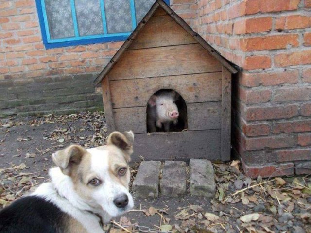 Acid Picdump. Part 1 (95 pics)