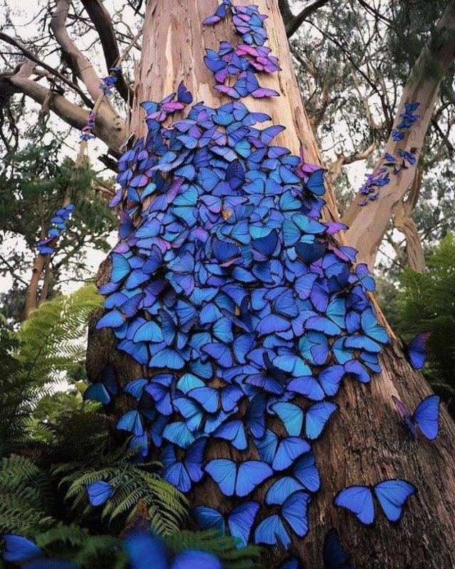 Acid Picdump. Part 2 (93 pics)