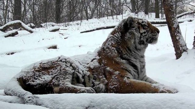 Acid Picdump. Part 2 (93 pics)