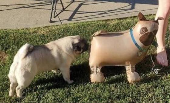 Acid Picdump. Part 1 (95 pics)