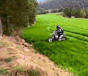 Acid Gifdump, August 5 (25 gifs)