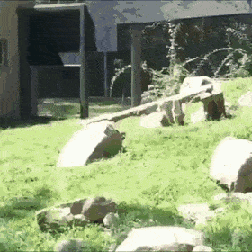 Acid Gifdump, August 5 (25 gifs)