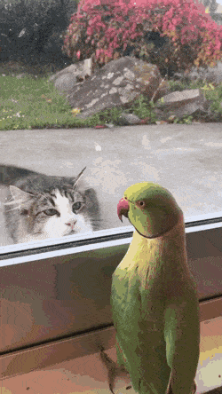 Acid Gifdump, August 5 (25 gifs)