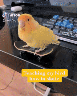 Acid Gifdump, August 5 (25 gifs)