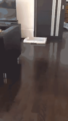 Acid Gifdump, August 5 (25 gifs)