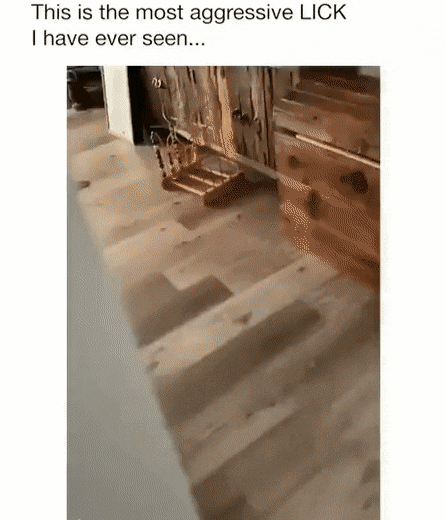 Acid Gifdump, August 5 (25 gifs)