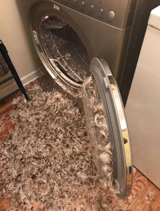 Laundry Fails (50 pics)