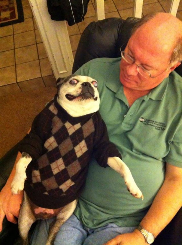 Laundry Fails (50 pics)